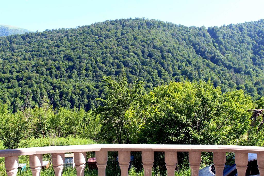 Family & Friends Guest house Dilidjan Extérieur photo
